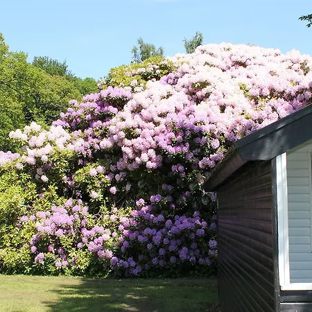 Campsite Nordsjaellands Camping & Cottages Alsgarde